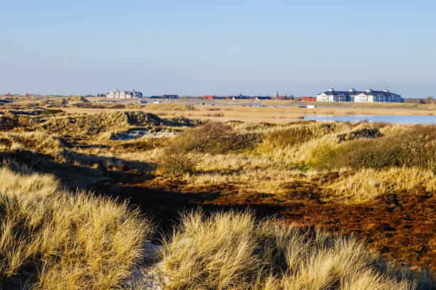 istock Dunes in Autumn from above 1173795887