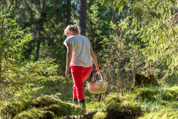 istock Woman picking mushrooms and berries in forest 1173799736