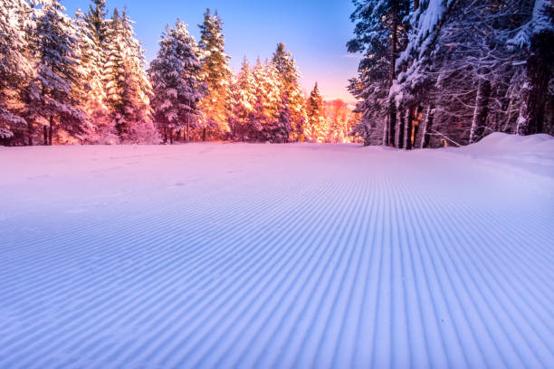 piste de ski de neige et de forêt damée à l'aube - home damage photos et images de collection
