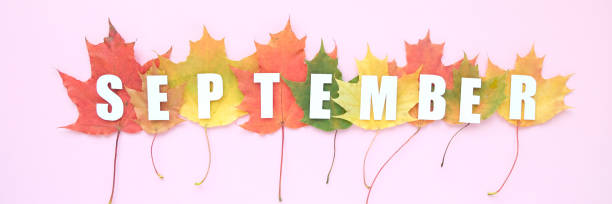 Lettering hello september with autumn leaves red, orange, yellow. Pink background. long format for web