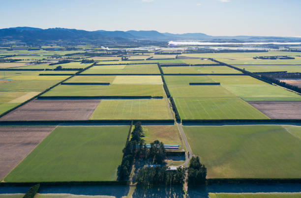 high above the canterbury plains, nouvelle-zélande - christchurch photos et images de collection