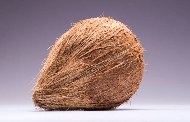 istock Closeup of a coconut on a isolated white background 1173805293