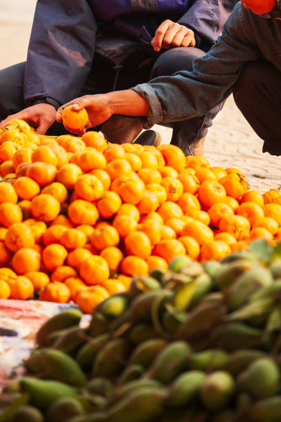 istock Close-up shot of two Vietnamese selects ripe and fresh oranges. 1173807670