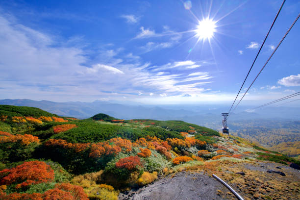 feuilles d'automne tôt dans hokkaido - parc national de daisetsuzan photos et images de collection