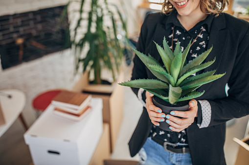 One woman, young lady moved into her new apartment, holding a plant.