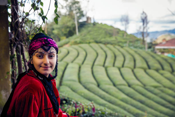 tradycyjne kobiety zbierające liście herbaty na plantacji - tea crop tea leaves plantation farmer zdjęcia i obrazy z banku zdjęć
