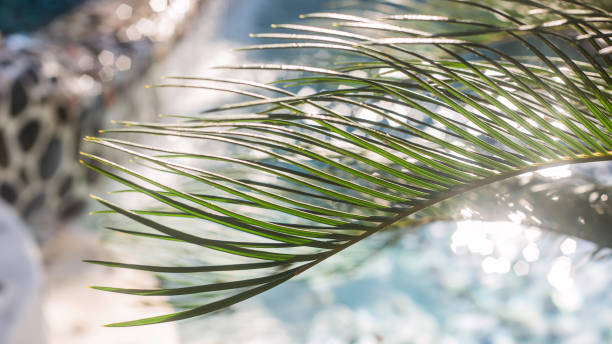 istock Natural summer background with lush green branches. Copy space 1173820469