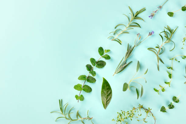 istock Culinary aromatic herbs, shot from above on a teal blue background with a place for text 1173820987
