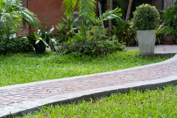 istock Green field garden with pathway 1173823868