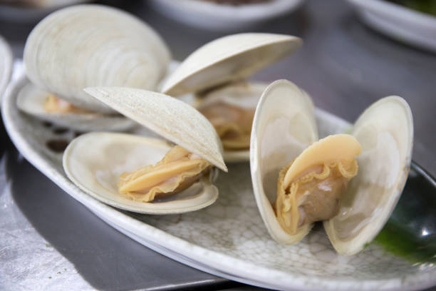 Short-necked clams