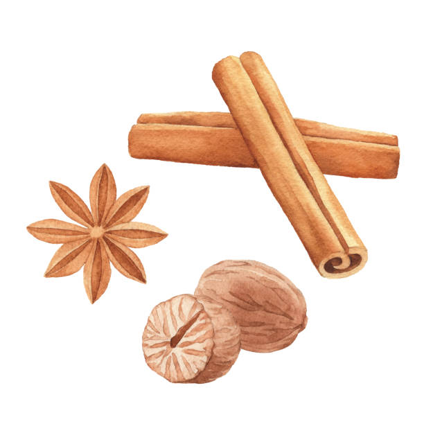 illustrazioni stock, clip art, cartoni animati e icone di tendenza di spezie ad acquerello - cinnamon stick spice food