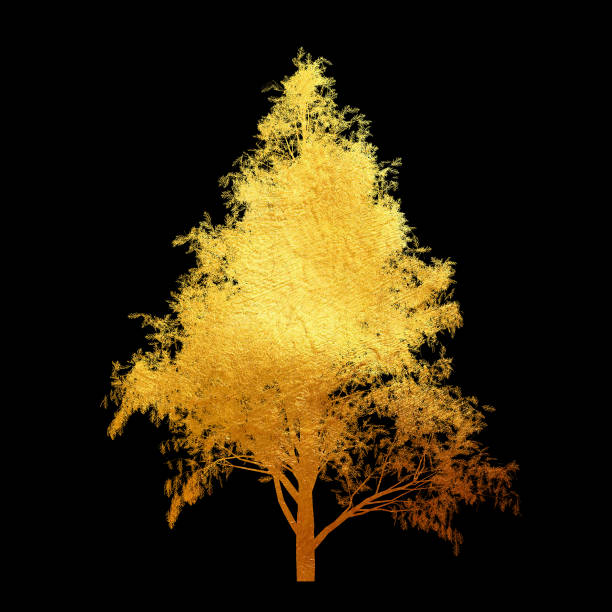 istock Golden tree with leaves isolated on black background. 1173835718