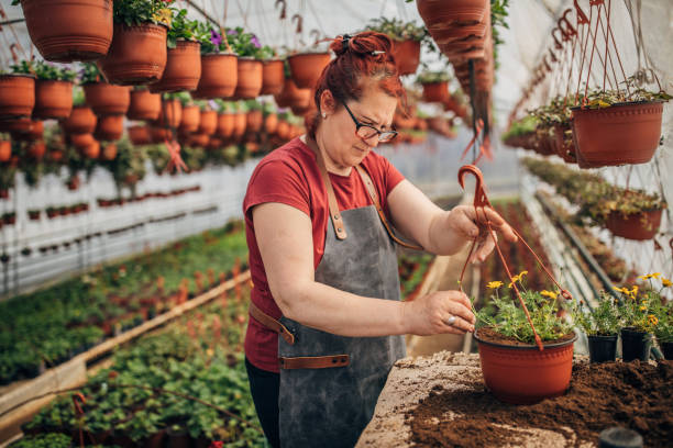 istock Redhead lady working on flower farm alone 1173835920