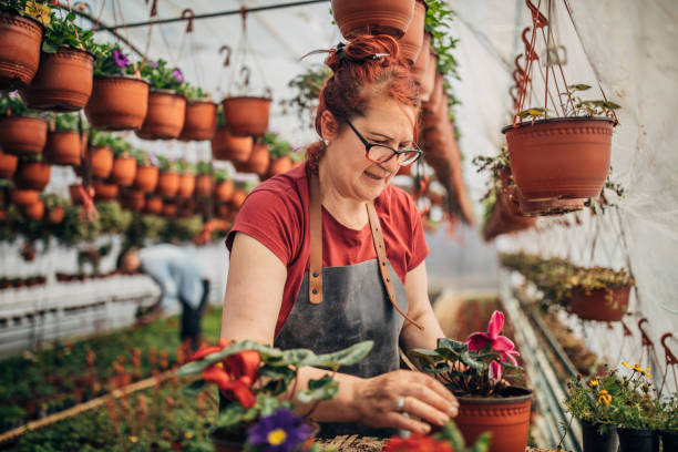 istock Mature redhead woman working on flower farm 1173836587