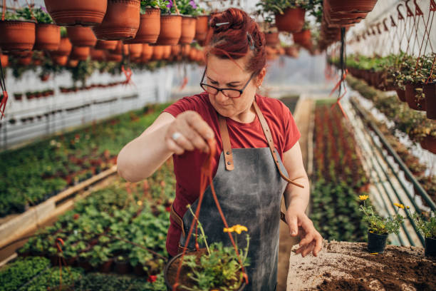 istock Mature redhead lady working on flower farm 1173837268