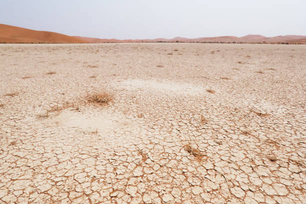 istock Namibian Desert 1173838867