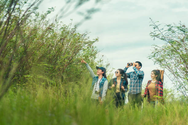 istock Trekking in a forest with friends 1173841245