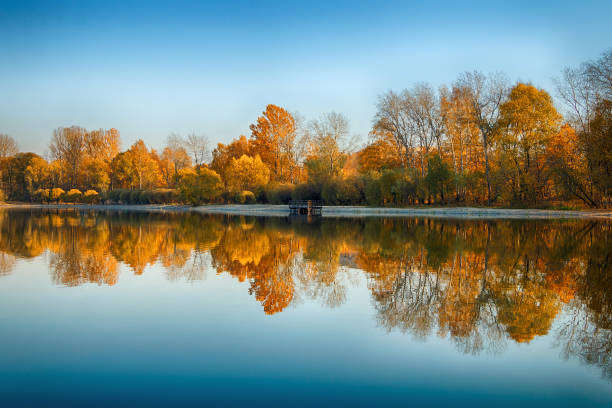 istock Beautiful autumn landscape with forest and lake 1173843594