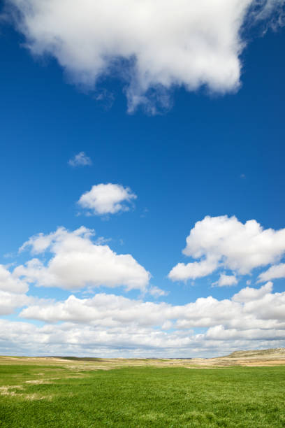istock Landscape in Zaragoza Province 1173845021