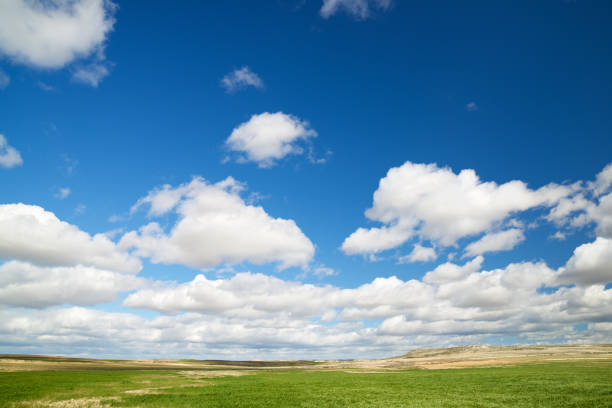puffy white clouds in a bright blue sky, sunny day, spring, great mood for a walk, breathe, fill, live