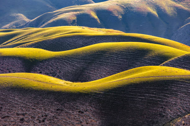 istock Aerial view Mountain grassland scenery in Xinjiang 1173845679
