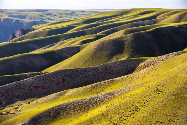 istock Aerial view Mountain grassland scenery in Xinjiang 1173845699