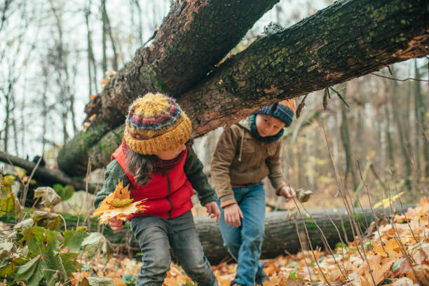istock Happy children enjoying autumn in forest 1173845869