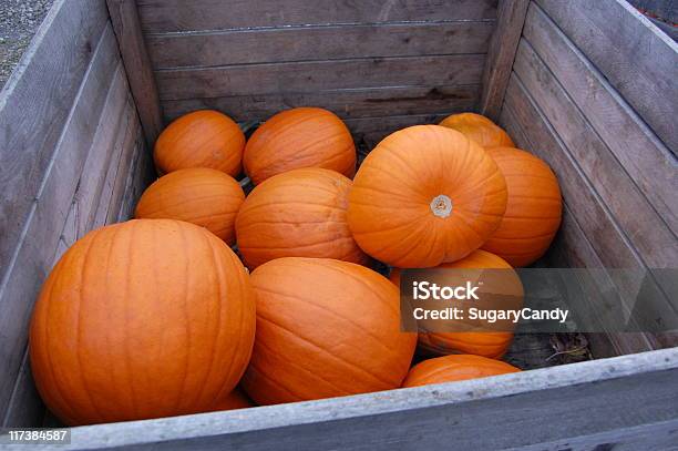Pumpkins Stock Photo - Download Image Now - Autumn, Color Image, Crate
