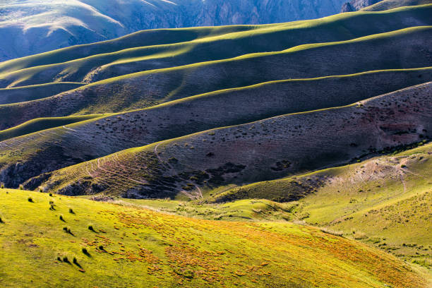 istock Aerial view Mountain grassland scenery in Xinjiang 1173847156