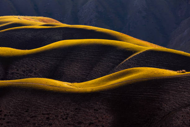istock Aerial view Mountain grassland scenery in Xinjiang 1173847328