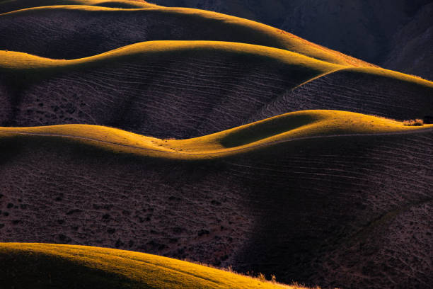 istock Curvy Mountain grassland scenery in Xinjiang 1173847516