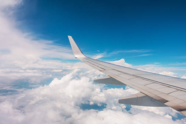 istock Aircraft wings flying in sky 1173847870