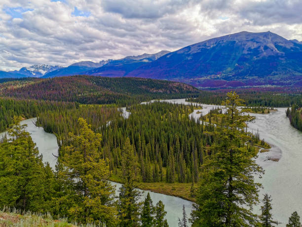 istock Athabasca River Vista, Jasper National Park, Canada 1173848201