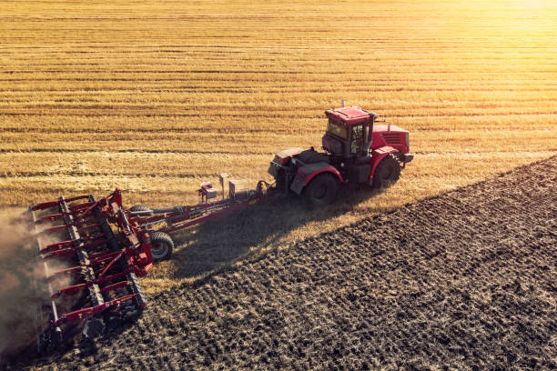 istock Agriculture machine harvesting crop in fields. Tractor pulls a mechanism for haymaking. Harvesting in autumn in the morning at dawn. agribusiness in the Altai region Russia 1173848876