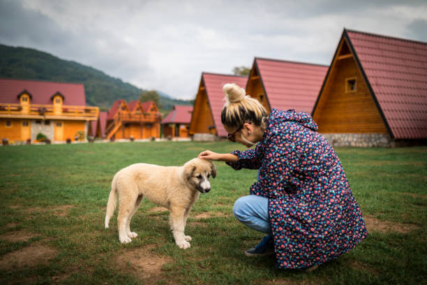 Young woman cuddle puppy sheepdog