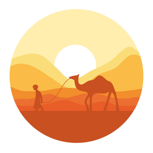 Camel travel in desert Camel travel in desert dromedary camel stock illustrations