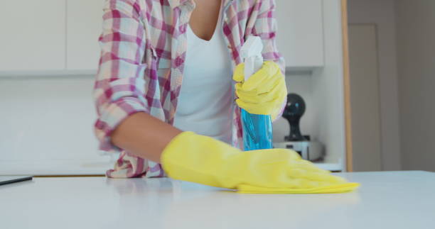 istock Cleaning the kitchen. Housekeeper washes the kitchen table. 1173852810