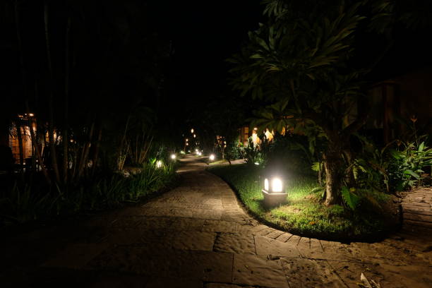 istock footpath under dark night sky. Lights on green grass ground. 1173854729