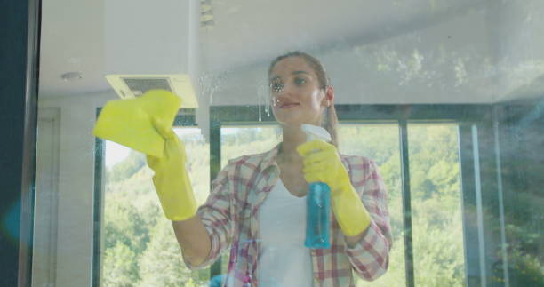 istock Girl removing cleaning solution from glass with special tool, cleaning service. 1173854802