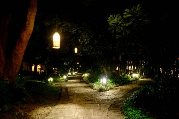 istock a fork in the road under dark night sky. Lights hanging on tree trunk. 1173854917