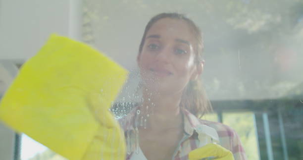 istock Girl removing cleaning solution from glass with special tool, cleaning service. 1173854980