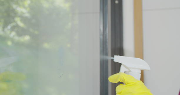 istock Girl removing cleaning solution from glass with special tool, cleaning service. 1173855418