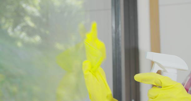 istock Girl removing cleaning solution from glass with special tool, cleaning service. 1173855507