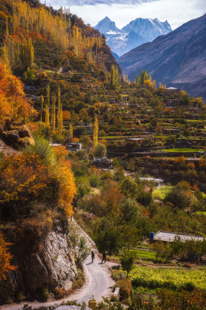 A mountain valley in this colorful season Below the unflinching mountain, one winsome mountain valley is located amid those rocky mountains that donning their falls with fiery orange and yellow leaves. karakoram highway stock pictures, royalty-free photos & images