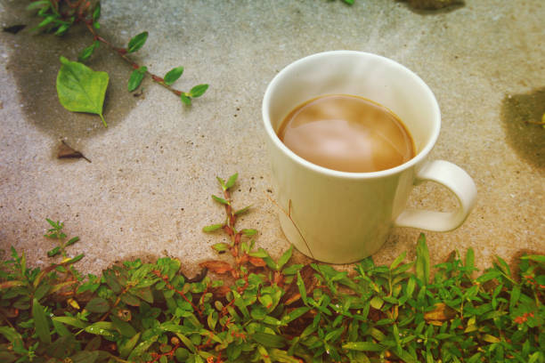 The close up of coffee and coffee cup in the garden. Take photography in Chiang Rai, Thailand.