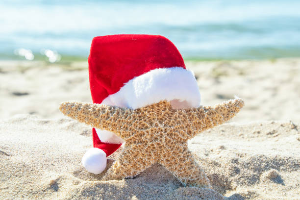 istock Santa cap on starfish in beach sand 1173874076