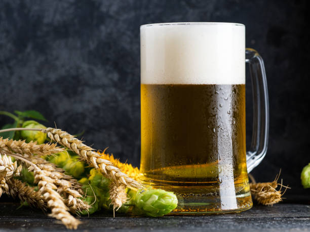istock Mug of lager light beer on a dark background with green hops 1173877555