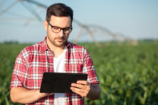 Serious young farmer in red checkered shirt working on a tablet in corn field. Looking at weather forecast or controlling irrigation system. Organic food production