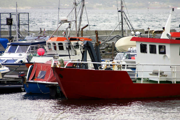 istock lofoten islands 1173881366