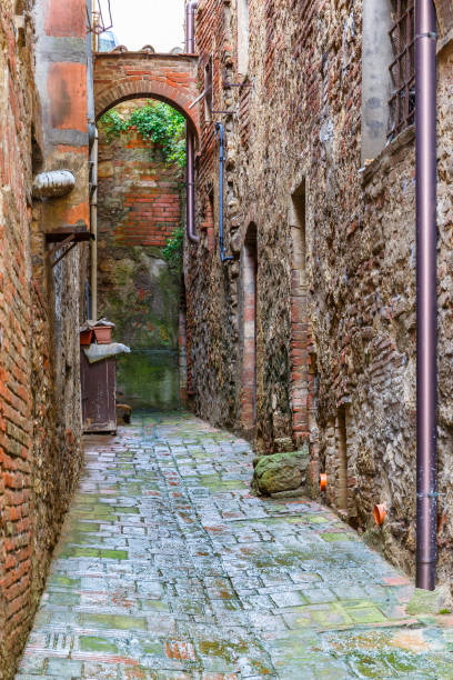 istock Dead end in an alley in an old town 1173881385